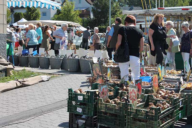 Jahrsfelder Markt